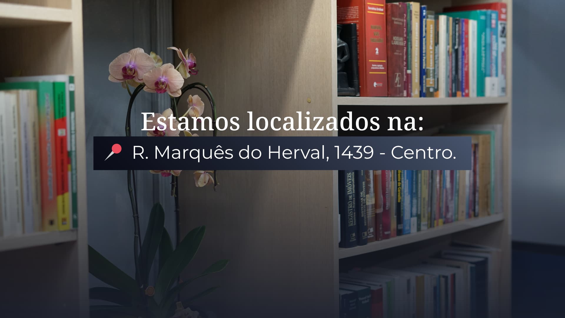 Imagem 3